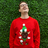 The Felfstive Holiday Sweater